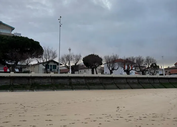 Front De 1ere Ligne 阿卡雄